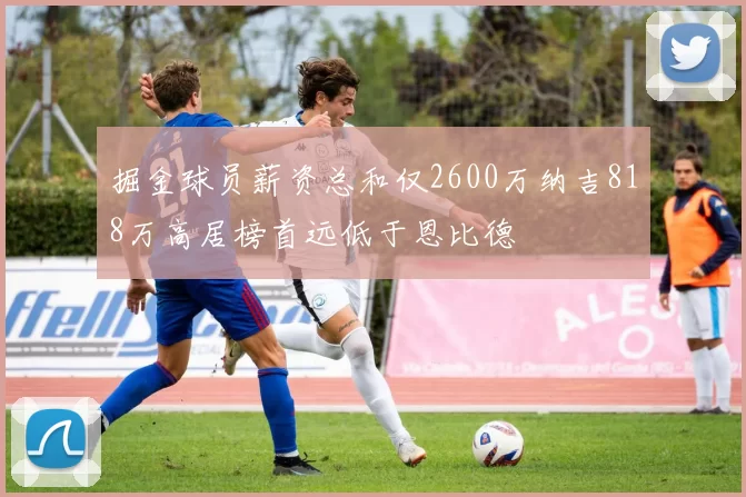 掘金球员薪资总和仅2600万纳吉818万高居榜首远低于恩比德