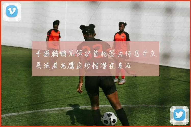 手握鹈鹕无保护首轮签为何急于交易浓眉老鹰应珍惜潜在基石
